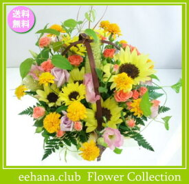 楽天市場 8月 誕生花の通販