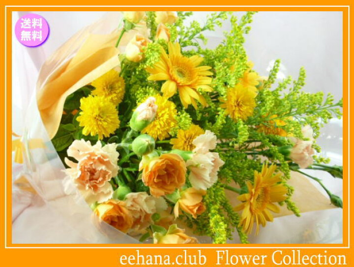 楽天市場 10月の誕生花 ビタミンオレンジ花束3 500円 送料無料 ガーベラ 花言葉カード付き 写真付きメッセージ選択可 あす楽対応 Tokaipoint11 16 いいｈａｎａ倶楽部