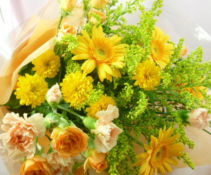 楽天市場 10月の誕生花 ビタミンオレンジ花束3 500円 送料無料 ガーベラ 花言葉カード付き 写真付きメッセージ選択可 あす楽対応 Tokaipoint11 16 いいｈａｎａ倶楽部