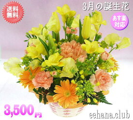 楽天市場 ビタミンカラー 花の通販