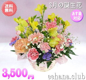 3月の誕生花★カラフルアレンジ3,500円【送料無料】【あす楽15時】【品質保証★花】【花言葉カード付】【楽ギフ_包装】【楽ギフ_メッセ】【楽ギフ_メッセ入力】フリージア【翌日配達】プレゼント ギフト 女性 ナチュラル