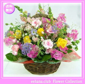 生花 かすみ草の人気商品 通販 価格比較 価格 Com