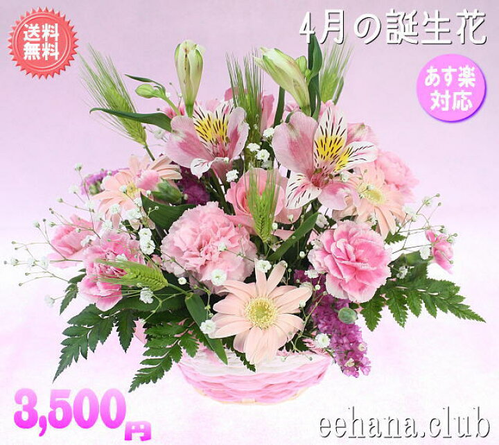 楽天市場 4月の誕生花 ピンクアレンジ3 500円 送料無料 花言葉付き かすみ草 四つ葉メッセージボトル選択可 花言葉カード付き 楽ギフ 包装 楽ギフ メッセ 楽ギフ メッセ入力 あす楽対応 いいｈａｎａ倶楽部