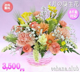 楽天市場 かすみ草 メッセージカードの通販