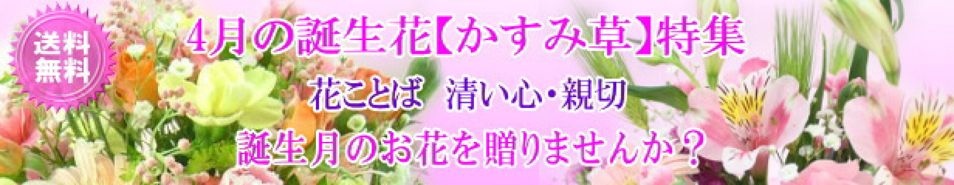 4月の誕生花【カスミ】特集