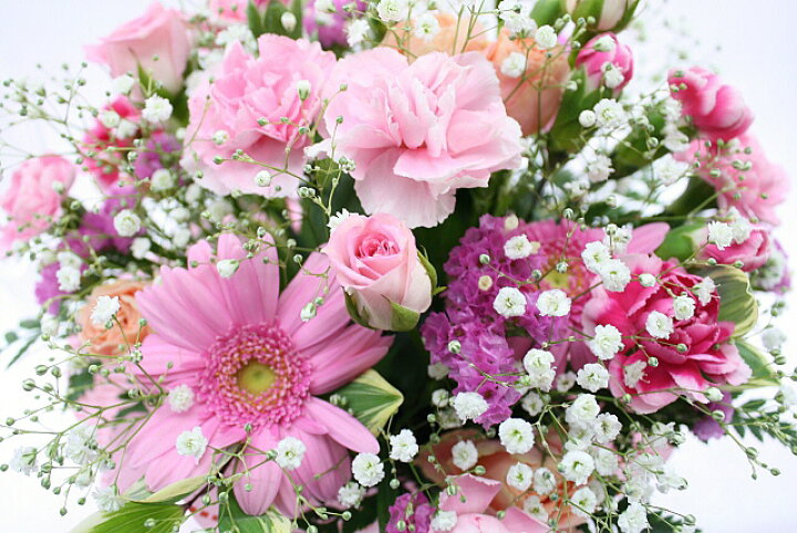 楽天市場 6月の誕生花 ピンクアレンジ花言葉付き3 500円 送料無料 バラ 写真付きメッセージ選択可 楽ギフ 包装 楽ギフ メッセ 楽ギフ メッセ入力 あす楽対応 いいhana倶楽部 楽天市場 6月の誕生花 ピンクアレンジ花言葉付き3 500円 送料無料 バラ 写真付きメッセージ選択可 楽ギフ 包装 楽ギフ メッセ 楽ギフ メッセ入力 あす楽対応 いいhana倶楽部