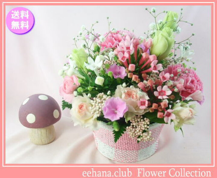 楽天市場 11月の誕生花 ピンクアレンジ3 500円 送料無料 ブバリア 花言葉カード付き 写真付きメッセージ選択可 あす楽対応 Hls Du いいｈａｎａ倶楽部