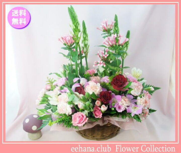 楽天市場 11月の誕生花 ロマンスアレンジ5 000円 送料無料 ブバルディア 花言葉カード付き 写真付きメッセージ選択可 あす楽対応 あす楽対応 Hls Du いいｈａｎａ倶楽部