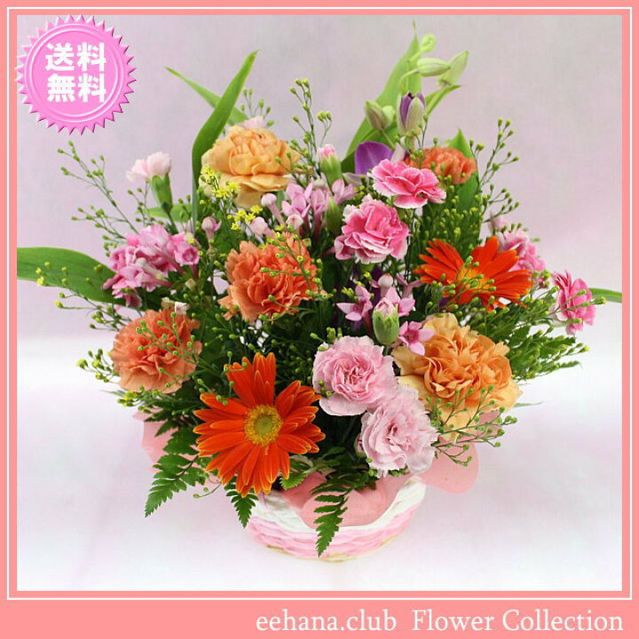 楽天市場 11月の誕生花 カラフルアレンジ3 500円 送料無料 ブバルディア 花言葉カード付き 写真付きメッセージ選択可 あす楽対応 あす楽対応 いいｈａｎａ倶楽部