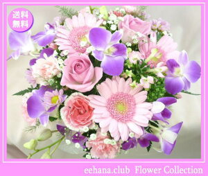 生花 デンファレの人気商品 通販 価格比較 価格 Com