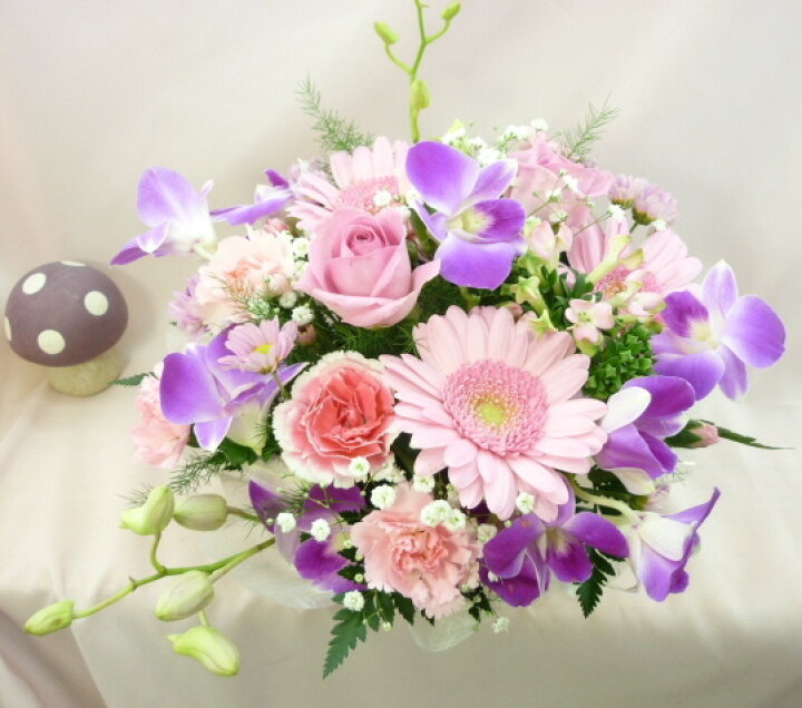 楽天市場 12月の誕生花 ピンクアレンジ3 500円 送料無料 デンファレ 花言葉カード付き 写真付きメッセージ選択可 楽ギフ 包装 楽ギフ メッセ 楽ギフ メッセ入力 あす楽対応 1412thanks 1000 いいｈａｎａ倶楽部