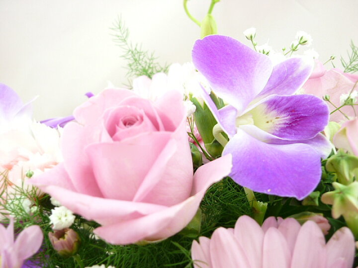 楽天市場 12月の誕生花 ピンクアレンジ3 500円 送料無料 デンファレ 花言葉カード付き 写真付きメッセージ選択可 楽ギフ 包装 楽ギフ メッセ 楽ギフ メッセ入力 あす楽対応 1412thanks 1000 いいｈａｎａ倶楽部