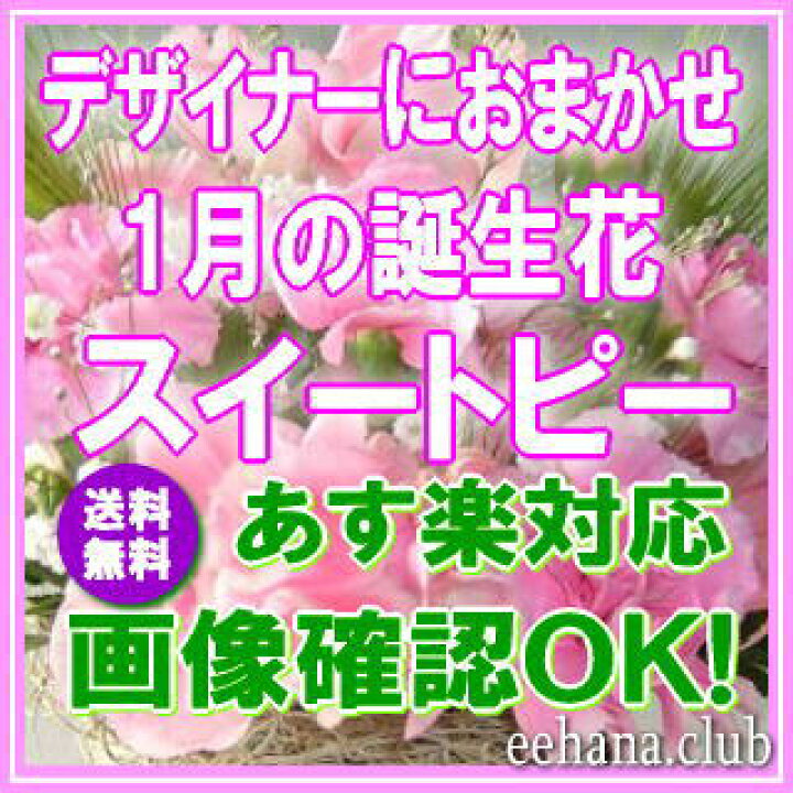 楽天市場 1月の誕生花 スイートピー デザイナーにおまかせフラワー 10 000円 送料無料 フラワーアレンジ 花束 写真付きカード選択可 ネット特価 楽ギフ 包装 楽ギフ メッセ 楽ギフ メッセ入力 あす楽対応 いいｈａｎａ倶楽部