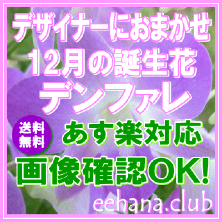 楽天市場】12月の誕生花【デンファレ】デザイナーにおまかせフラワー☆5,000円【送料無料】【フラワーアレンジ・花束】【写真付きカード選択可】ネット特価!!【楽ギフ_包装】【楽ギフ_メッセ】【楽ギフ_メッセ入力】【あす楽対応】【HLS_DU】【201412thanks_1000 ... 楽天市場】12月の誕生花【デンファレ】デザイナーにおまかせフラワー☆5,000円【送料無料】【フラワーアレンジ・花束】【写真付きカード選択可】ネット特価!!【楽ギフ_包装】【楽ギフ_メッセ】【楽ギフ_メッセ入力】【あす楽対応】【HLS_DU】【201412thanks_1000 ...