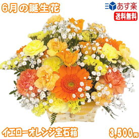 6月の誕生花★イエローオレンジ宝石箱アレンジメント花言葉付き3,500円【送料無料】【薔薇】【写真付きメッセージ選択可】【楽ギフ_包装】【楽ギフ_メッセ】【楽ギフ_メッセ入力】【あす楽対応】