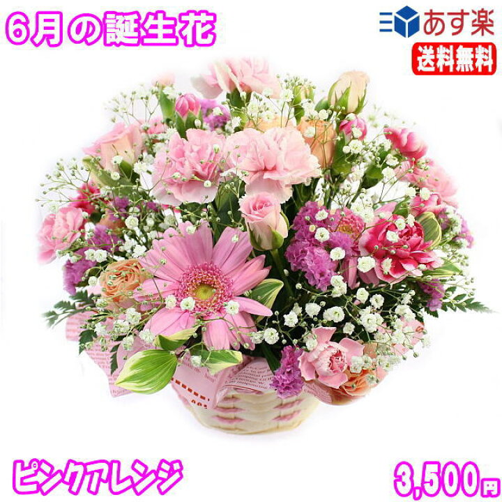 楽天市場 6月の誕生花 ピンクアレンジ花言葉付き3 500円 送料無料 バラ 写真付きメッセージ選択可 楽ギフ 包装 楽ギフ メッセ 楽ギフ メッセ入力 あす楽対応 いいｈａｎａ倶楽部