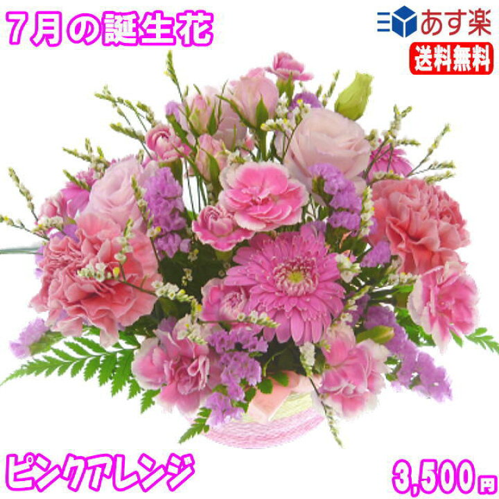 楽天市場 7月の誕生花 ピンクアレンジ花言葉付き3 500円 送料無料 トルコキキョウ 写真付きメッセージ選択可 楽ギフ 包装 楽ギフ メッセ 楽ギフ メッセ入力 あす楽対応 いいhana倶楽部 楽天市場 7月の誕生花 ピンクアレンジ花言葉付き3 500円 送料無料 トルコキキョウ 写真付きメッセージ選択可 楽ギフ 包装 楽ギフ メッセ 楽ギフ メッセ入力 あす楽対応 いいhana倶楽部