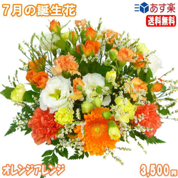 楽天市場 7月の誕生花 オレンジアレンジ花言葉付き3 500円 送料無料 トルコキキョウ 楽ギフ 包装 楽ギフ メッセ 楽ギフ メッセ入力 あす楽対応 いいｈａｎａ倶楽部