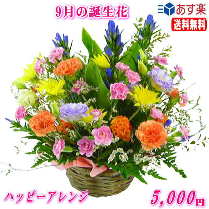 楽天市場 9月の誕生花 りんどうハッピーアレンジ5 000円 送料無料 ネット特価 楽ギフ 包装 楽ギフ メッセ 楽ギフ メッセ入力 あす楽対応 いいhana倶楽部 楽天市場 9月の誕生花 りんどうハッピーアレンジ5 000円 送料無料 ネット特価 楽ギフ 包装 楽ギフ メッセ 楽ギフ メッセ入力 あす楽対応 いいhana倶楽部