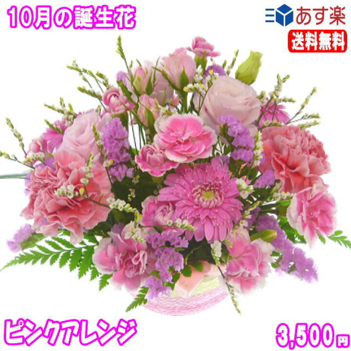 楽天市場 10月の誕生花 ピンクアレンジ3 500円 送料無料 ガーベラ 花言葉カード付き 写真付きメッセージ選択可 あす楽対応 いいｈａｎａ倶楽部