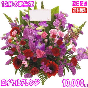 12̒aԁCAW10,000~yzyft@zԌtJ[htyʐ^tbZ[WIzyyMt_zyyMt_bZzyyMt_bŹz