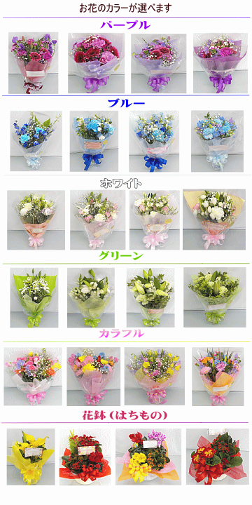 市場 6月の誕生花 送料無料 パープル宝石箱アレンジメント花言葉付き3 500円 写真付きメッセージ選択可 薔薇
