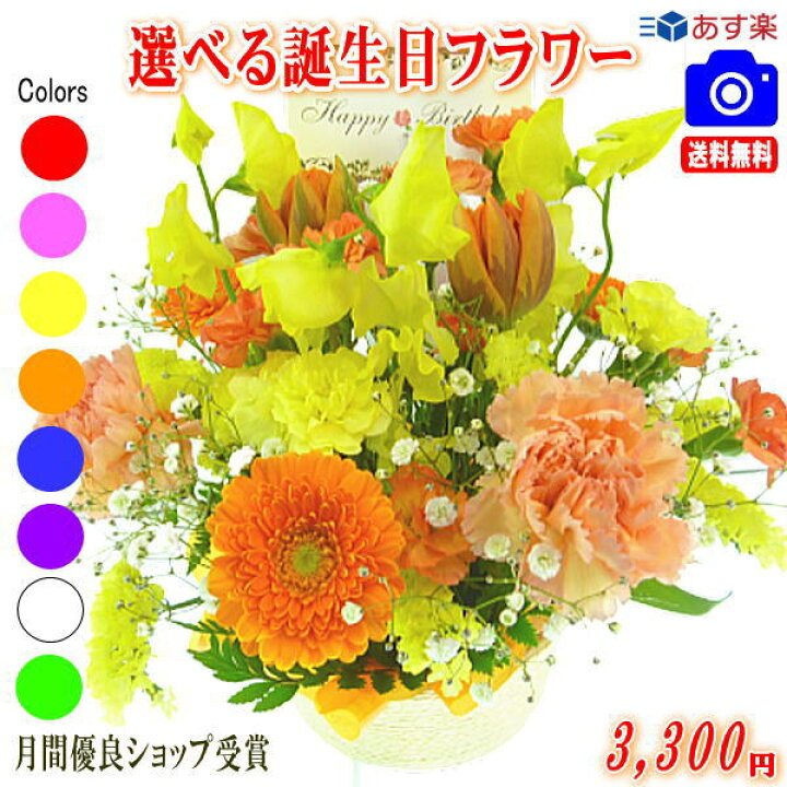 楽天市場 花 ギフト 誕生日バースデーフラワー3 300円 送料無料 土日祝も営業 あす楽15時 お花の画像見れます メッセージカード付き 楽ギフ メッセ アレンジ 花束 プリザ プレゼント 翌日配達 ギフト プレゼント 女性 いいｈａｎａ倶楽部