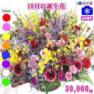 10̒aԁyK[xzfUCi[ɂ܂t[30,000~yzyt[AWEԑzyʐ^tJ[hIzlbgIIyyΉz