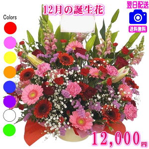 12̒aԁyft@zfUCi[ɂ܂t[12,000~yzyt[AWEԑzyʐ^tJ[hIzlbgIIyyMt_zyyMt_bZzy