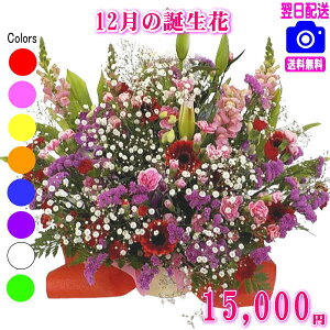 12̒aԁyft@zfUCi[ɂ܂t[15,000~yzyt[AWEԑzyʐ^tJ[hIzlbgIIyyMt_zyyMt_bZzy