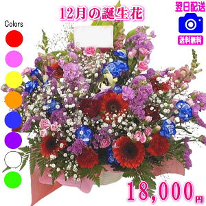 12̒aԁyft@zfUCi[ɂ܂t[18,000~yzyt[AWEԑzyʐ^tJ[hIzlbgIIyyMt_zyyMt_bZzy