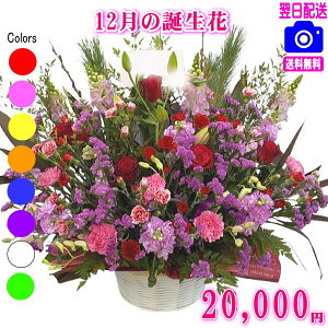 12̒aԁyft@zfUCi[ɂ܂t[20,000~yzyt[AWEԑzyʐ^tJ[hIzlbgIIyyMt_zyyMt_bZzy
