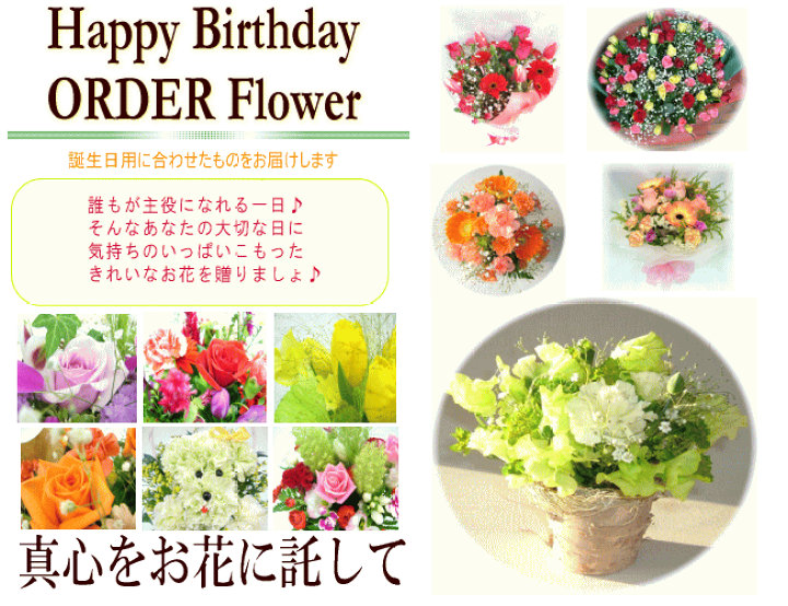 楽天市場 誕生日専用フラワー3 000円 送料無料 花束 アレンジ はちもの 赤 ピンク イエロー ブルー パープル オレンジ ホワイト Mix 楽ギフ 包装 楽ギフ メッセ 楽ギフ メッセ入力 いいｈａｎａ倶楽部
