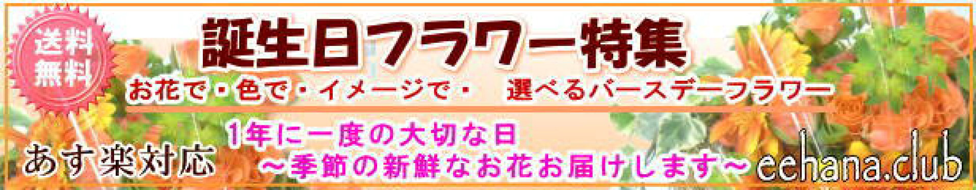誕生日専用フラワー特集【画像閲覧OK！】あす楽対応！