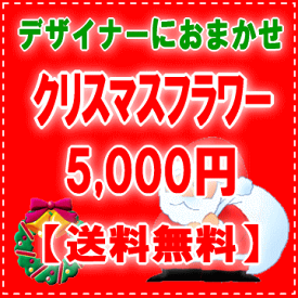 デザイナーにデザイナーにおまかせ★フラワー★★クリスマスのプレゼントに★X'masフラワー5,000円【送料無料】ネット特価！！