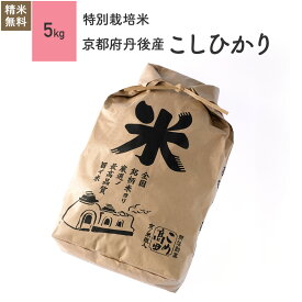 特別栽培米 丹後産 コシヒカリ 米 5kg 令和5年産お米 分つき米 玄米