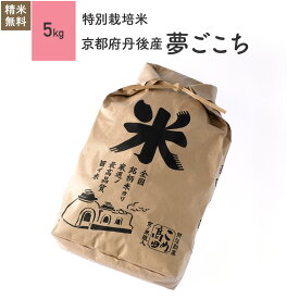 米 5kg 夢ごこち 丹後産 特別栽培米 令和5年産お米 分つき米 玄米