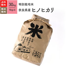 奈良県産 ヒノヒカリ 特別栽培米 30kg(5kg×6袋）令和5年産米 お米 分つき米 玄米 送料無料