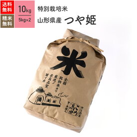 10kg つや姫 山形県産 特別栽培米 令和5年産 送料無料お米 分つき精米 玄米