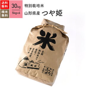 新米 山形県産 つや姫 特別栽培米 30kg(5kg×6袋) 令和7年産米 お米 分つき米 玄米 送料無料