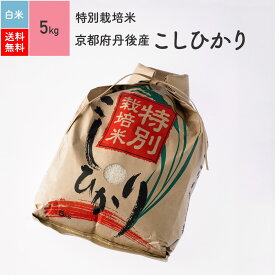特別栽培米令和5年産 京都府丹後産コシヒカリ 白米 5kg※放射能検査 検出なし