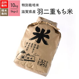 羽二重 もち米 10kg 滋賀県産 令和6年産 送料無料　精白米のみ