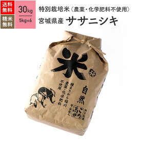 宮城県産 ササニシキ 特別栽培米 令和5年産 送料無料無農薬 玄米 精米 米 30kg（5kg×6袋）
