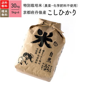 V ߘa7NY ʍ͔|āi_Ew엿sgpjs{OY RVqJ 30kgi5kg×6܁j