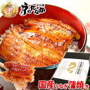 送料無料 国産うなぎ 蒲焼き 2枚 誕生日 お祝いギフト【静岡 AA pon-2 BOX】