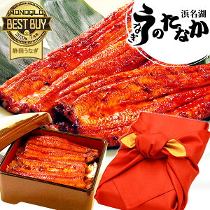 Y Ȃ Ă  V Mtg j MtgZbg ^pbN a j lC jMtg O Hi Hו v[g N[|  䒆 ăMtg ŋz 咷