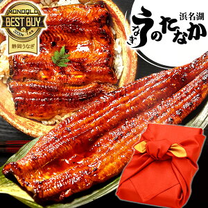 Y Ȃ  V Ă Mtg j av[g j ĂZbg yp̉N̓ މ@ j jMtg O Hi Hו v[g N[|  䒆 ăMt