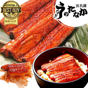 Y Ȃ  Ă V Mtg MtgZbg ^pbN j a lC jMtg O Hi Hו v[g N[|  䒆 ăMtg ŋz Ă2{ 