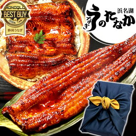 ＼土用丑直前SALE★ポイント2倍！／ うなぎ 国産 蒲焼き 食べ物 送料無料 鰻 プレゼント お祝い 食品 グルメ 人気 内祝い 誕生日 土用の丑の日 ギフト お年賀 御年賀 最強配送 ご褒美 特大長蒲焼1本 1尾 カット蒲焼き2枚 【静岡産 AAA 風呂敷】FA [2〜3人前]