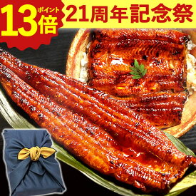 ＼21周年記念★ポイント13倍／ うなぎ 国産 蒲焼き 送料無料 鰻 食品 人気 ギフト 誕生日 内祝い 小分け ご褒美 お歳暮 御歳暮 お年賀 御年賀 敬老の日 プレゼント 特大長蒲焼1本 1尾 特大 カット蒲焼き2枚 最強配送 【静岡産 AAA 風呂敷】FA [2〜3人前] うなぎのたなか